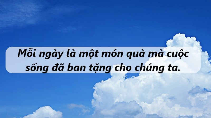 cap yêu đời