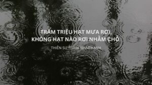 Trăm triệu hạt mưa rơi không hạt nào rơi nhầm chỗ là câu nói của ai